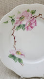 KPM Germany Floral Plate, Hand Painted, Signed, Vintage